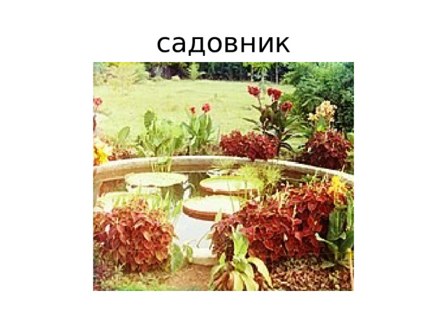 садовник 