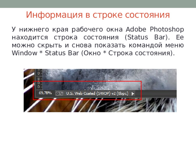 Информация в строке состояния У нижнего края рабочего окна Adobe Photoshop находится строка состояния (Status Bar). Ее можно скрыть и снова показать командой меню Window * Status Bar (Окно * Строка состояния). 