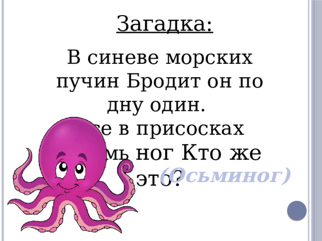 Загадка: В синеве морских пучин Бродит он по дну один. Все в присосках восемь ног Кто же это?    (Осьминог) 