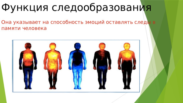 Функция следообразования   Она указывает на способность эмоций оставлять следы в памяти человека   