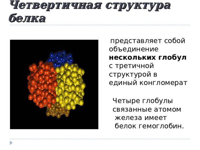 Четвертичная структура белка  представляет собой объединение нескольких глобул с третичной структурой в единый конгломерат  Четыре глобулы  связанные атомом  железа имеет  белок гемоглобин.  