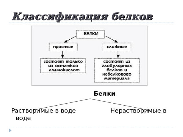 Классификация белков  Белки  Растворимые в воде Нерастворимые в воде 
