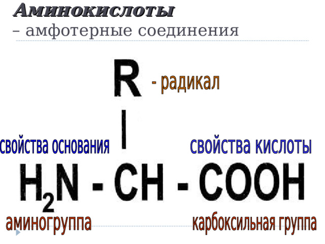 Аминокислоты   – амфотерные соединения 