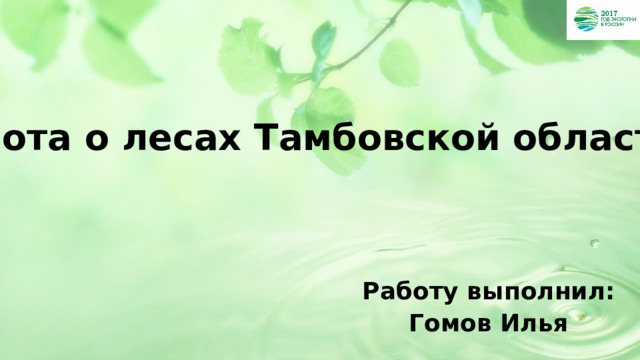 Забота о лесах Тамбовской области Работу выполнил:  Гомов Илья 