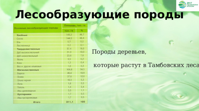 Лесообразующие породы Породы деревьев,  которые растут в Тамбовских лесах 