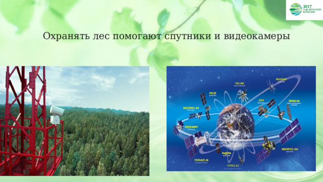 Охранять лес помогают спутники и видеокамеры 