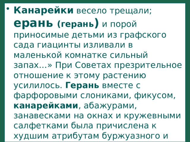 Канарейки весело трещали; ерань (герань ) и порой приносимые детьми из графского сада гиацинты изливали в маленькой комнатке сильный запах…» При Советах презрительное отношение к этому растению усилилось. Герань вместе с фарфоровыми слониками, фикусом, канарейками , абажурами, занавесками на окнах и кружевными салфетками была причислена к худшим атрибутам буржуазного и мещанского быта, с которыми нужно нещадно бороться. 