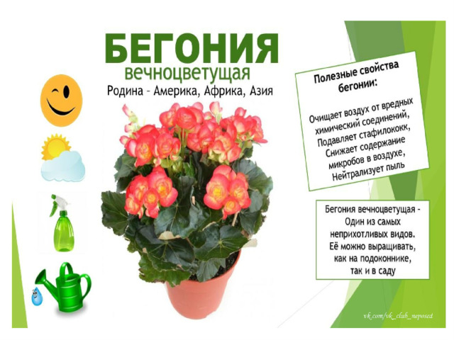  РАЗГАДАЙ РЕБУС   