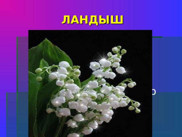 ЛАНДЫШ Цветок как бубенчик, Беленький венчик. Цветет он не пышно, Звенит ли? Не слышно    