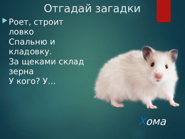 Отгадай загадки Роет, строит ловко   Спальню и кладовку.   За щеками склад зерна   У кого? У… Х ома 