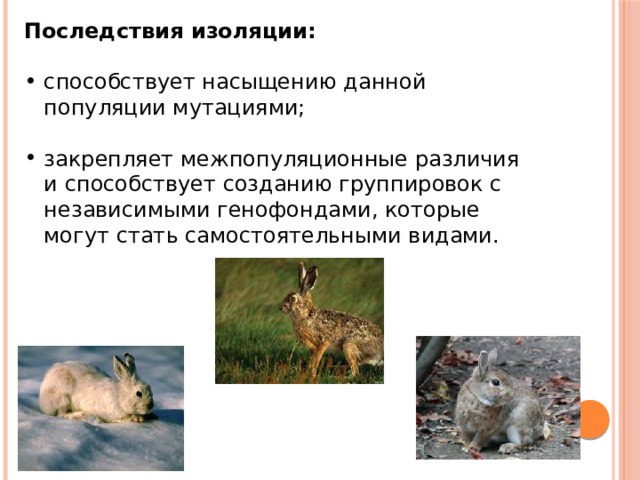 Последствия изоляции:  способствует насыщению данной популяции мутациями; закрепляет межпопуляционные различия и способствует созданию группировок с независимыми генофондами, которые могут стать самостоятельными видами. 