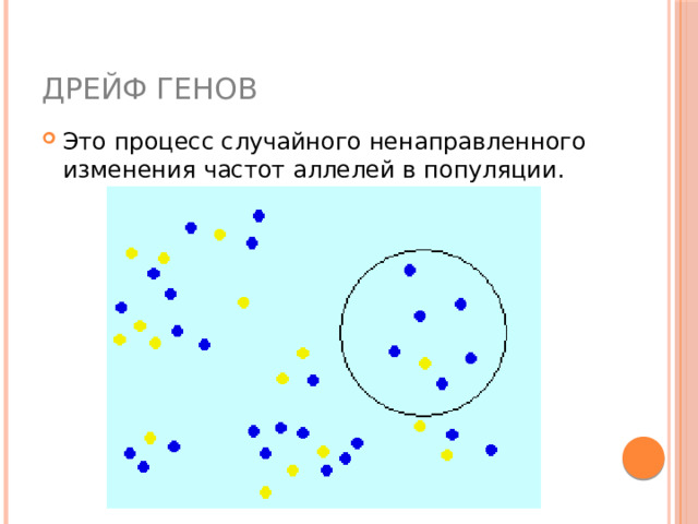 Дрейф генов Это процесс случайного ненаправленного изменения частот аллелей в популяции. 