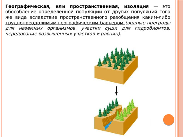 Географическая, или пространственная, изоляция — это обособление определённой популяции от других популяций того же вида вследствие пространственного разобщения каким-либо труднопреодолимым географическим барьером (водные преграды для наземных организмов, участки суши для гидробионтов, чередование возвышенных участков и равнин). 