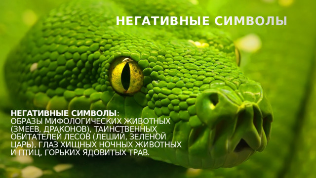 НЕГАТИВНЫЕ СИМВОЛЫ Негативные символы : образы мифологических животных (змеев, драконов), таинственных обитателей лесов (леший, Зеленой царь), глаз хищных ночных животных и птиц, горьких ядовитых трав. 