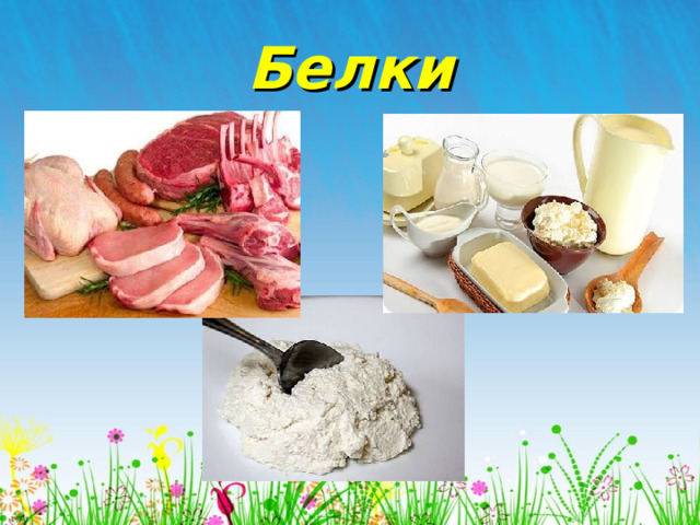 Белки 
