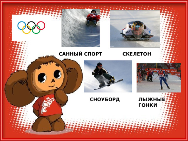 САННЫЙ СПОРТ СКЕЛЕТОН СНОУБОРД ЛЫЖНЫЕ  ГОНКИ 