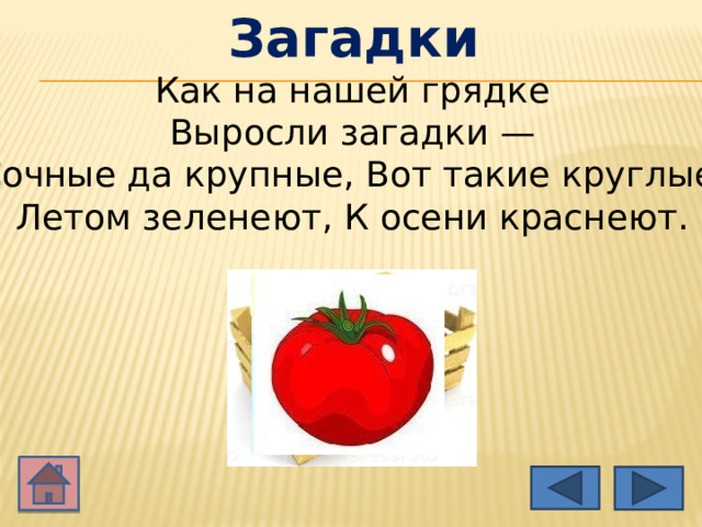 Загадки Как на нашей грядке Выросли загадки — Сочные да крупные, Вот такие круглые. Летом зеленеют, К осени краснеют. 