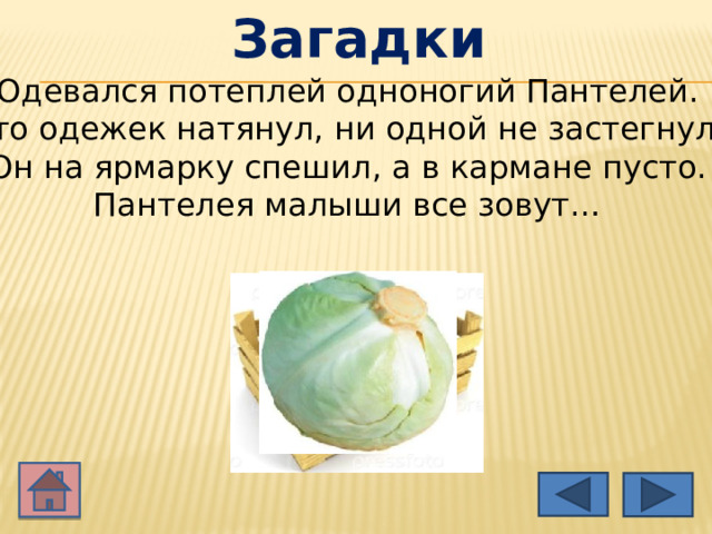 Загадки Одевался потеплей одноногий Пантелей.   Сто одежек натянул, ни одной не застегнул.   Он на ярмарку спешил, а в кармане пусто.   Пантелея малыши все зовут…    