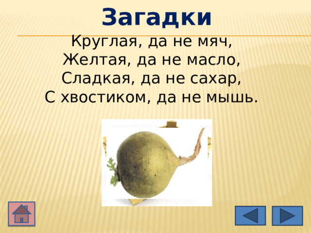 Загадки Круглая, да не мяч,   Желтая, да не масло,   Сладкая, да не сахар,   С хвостиком, да не мышь.    