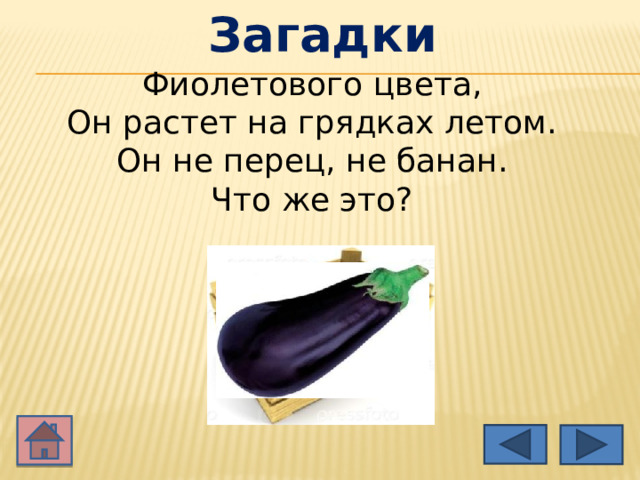 Загадки Фиолетового цвета,   Он растет на грядках летом.   Он не перец, не банан.   Что же это?    