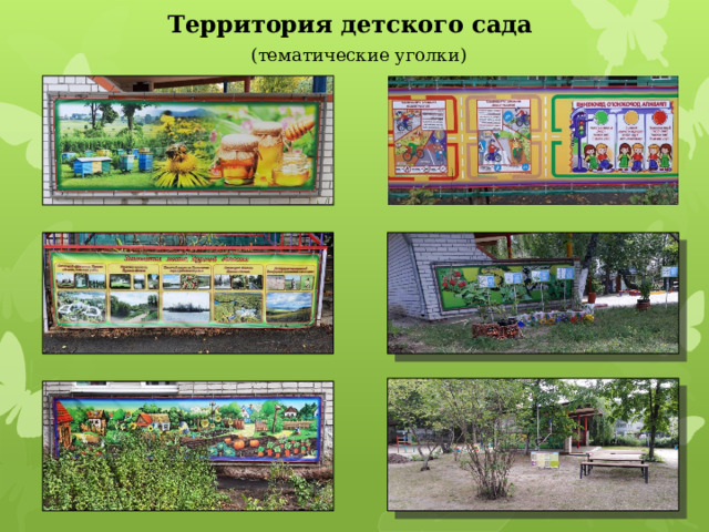 Территория детского сада   (тематические уголки) 