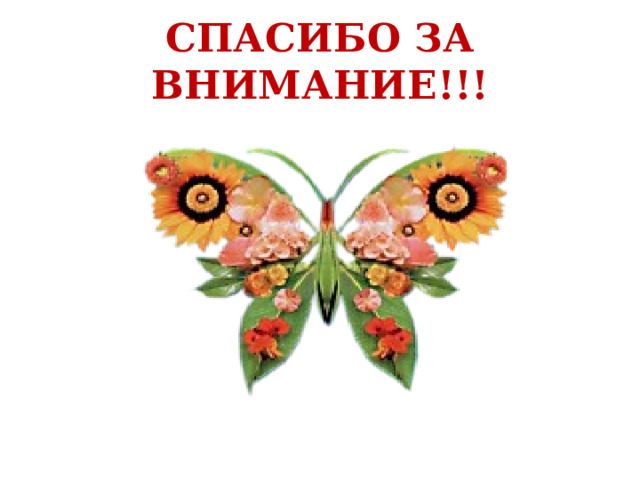 СПАСИБО ЗА ВНИМАНИЕ!!! 