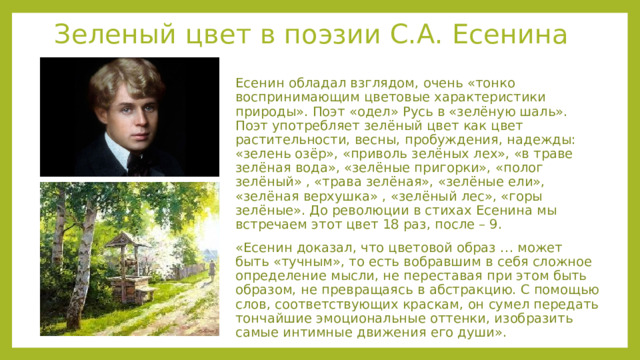 Зеленый цвет в поэзии С.А. Есенина Есенин обладал взглядом, очень «тонко воспринимающим цветовые характеристики природы». Поэт «одел» Русь в «зелёную шаль». Поэт употребляет зелёный цвет как цвет растительности, весны, пробуждения, надежды: «зелень озёр», «приволь зелёных лех», «в траве зелёная вода», «зелёные пригорки», «полог зелёный» , «трава зелёная», «зелёные ели», «зелёная верхушка» , «зелёный лес», «горы зелёные». До революции в стихах Есенина мы встречаем этот цвет 18 раз, после – 9. «Есенин доказал, что цветовой образ … может быть «тучным», то есть вобравшим в себя сложное определение мысли, не переставая при этом быть образом, не превращаясь в абстракцию. С помощью слов, соответствующих краскам, он сумел передать тончайшие эмоциональные оттенки, изобразить самые интимные движения его души». 