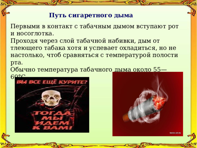 Путь сигаретного дыма Первыми в контакт с табачным дымом вступают рот и носоглотка. Проходя через слой табачной набивки, дым от тлеющего табака хотя и успевает охладиться, но не настолько, чтоб сравняться с температурой полости рта. Обычно температура табачного дыма около 55—60°С. 