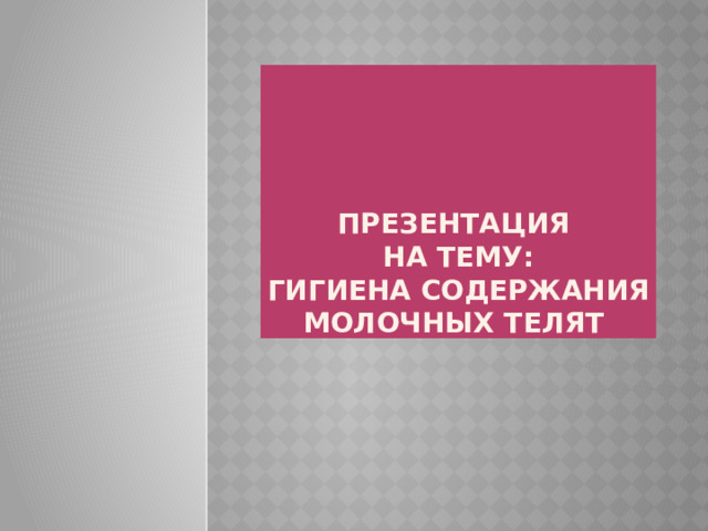 Презентация  на тему:  Гигиена содержания молочных телят 