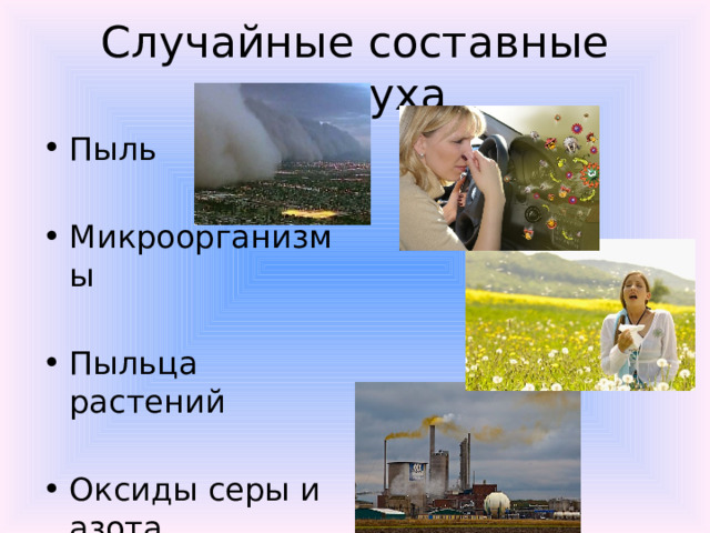 Случайные составные воздуха Пыль Микроорганизмы Пыльца растений Оксиды серы и азота 