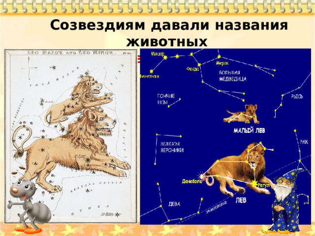 Созвездиям давали названия животных  созвездие Льва 