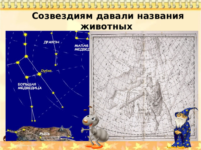 Созвездиям давали названия животных  созвездие Рыси 