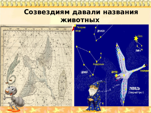 Созвездиям давали названия животных  созвездие Лебедя 