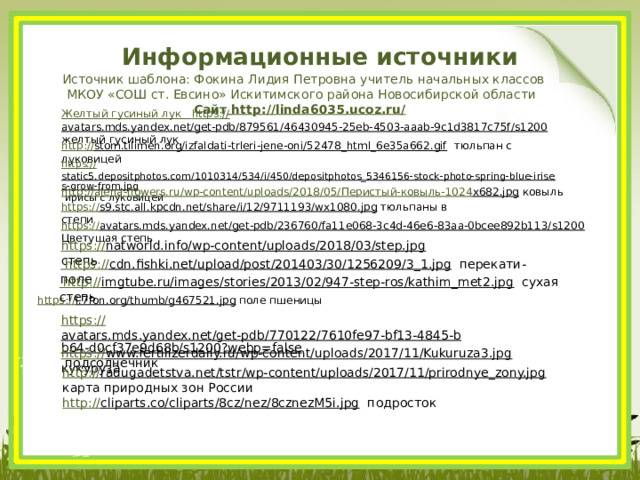 Информационные источники Источник шаблона: Фокина Лидия Петровна учитель начальных классов МКОУ «СОШ ст. Евсино» Искитимского района Новосибирской области Сайт  http://linda6035.ucoz.ru/  Желтый гусиный лук https :// avatars.mds.yandex.net/get-pdb/879561/46430945-25eb-4503-aaab-9c1d3817c75f/s1200  желтый гусиный лук http:// stom.tilimen.org/izfaldati-trleri-jene-oni/52478_html_6e35a662.gif  тюльпан с луковицей https:// static5.depositphotos.com/1010314/534/i/450/depositphotos_5346156-stock-photo-spring-blue-irises-grow-from.jpg  ирисы с луковицей http://alena-flowers.ru/wp-content/uploads/2018/05/ Перистый-ковыль-1024 x682.jpg  ковыль https:// s9.stc.all.kpcdn.net/share/i/12/9711193/wx1080.jpg  тюльпаны в степи https:// avatars.mds.yandex.net/get-pdb/236760/fa11e068-3c4d-46e6-83aa-0bcee892b113/s1200  Цветущая степь https:// natworld.info/wp-content/uploads/2018/03/step.jpg  степь  https :// cdn.fishki.net/upload/post/201403/30/1256209/3_1.jpg  перекати-поле  http :// imgtube.ru/images/stories/2013/02/947-step-ros/kathim_met2.jpg  сухая степь https:// i.7fon.org/thumb/g467521.jpg  поле пшеницы https:// avatars.mds.yandex.net/get-pdb/770122/7610fe97-bf13-4845-bb64-d0cf37e9d68b/s1200?webp=false  подсолнечник https:// www.fertilizerdaily.ru/wp-content/uploads/2017/11/Kukuruza3.jpg  кукуруза http:// radugadetstva.net/tstr/wp-content/uploads/2017/11/prirodnye_zony.jpg  карта природных зон России http:// cliparts.co/cliparts/8cz/nez/8cznezM5i.jpg  подросток 