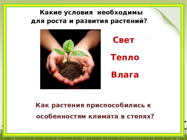  Какие условия необходимы для роста и развития растений? Свет Тепло Влага  Как растения приспособились к особенностям климата в степях? 