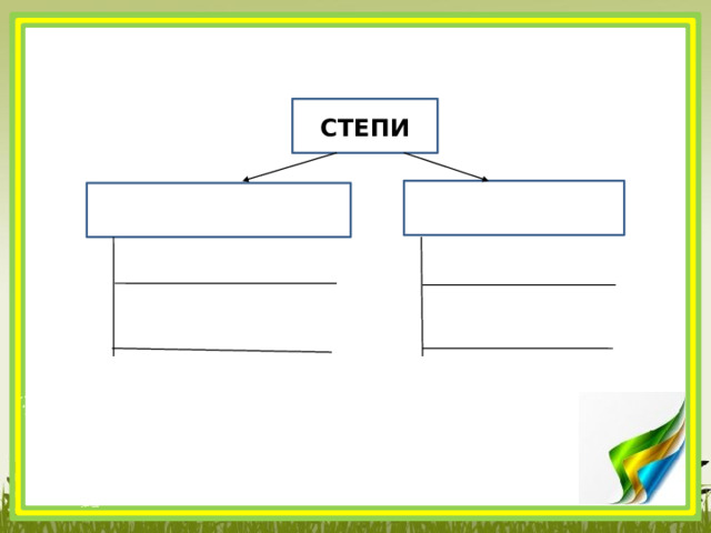 СТЕПИ     