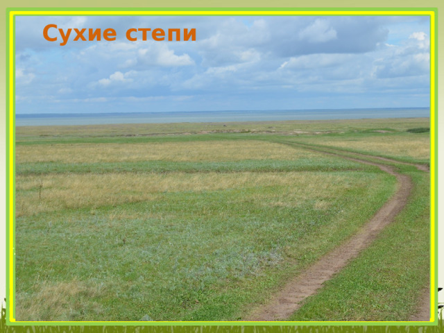 Сухие степи 