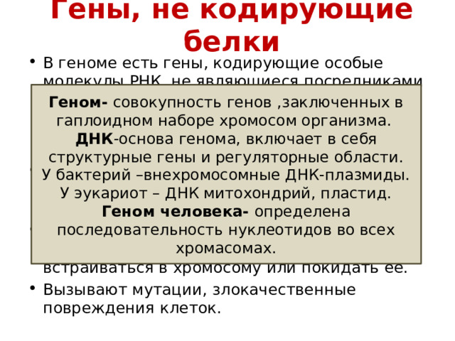 Гены, не кодирующие белки В геноме есть гены, кодирующие особые молекулы РНК, не являющиеся посредниками в синтезе белков. Подобные мобильные фрагменты ДНК обнаружены у всех организмов- транспозоны. В их составе фермент рестриктаза, которая разрезает ДНК, подвижные элементы могут встраиваться в хромосому или покидать её. Вызывают мутации, злокачественные повреждения клеток. Геном- совокупность генов ,заключенных в гаплоидном наборе хромосом организма. ДНК -основа генома, включает в себя структурные гены и регуляторные области. У бактерий –внехромосомные ДНК-плазмиды. У эукариот – ДНК митохондрий, пластид. Геном человека- определена последовательность нуклеотидов во всех хромасомах. Мобильные генетические элементы 