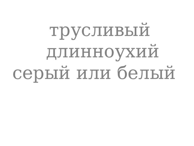 трусливый   длинноухий серый или белый  