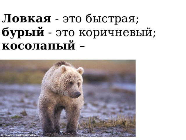   Ловкая - это быстрая;  бурый - это коричневый;  косолапый –     