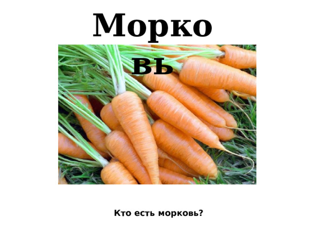 Морковь    Кто есть морковь?   