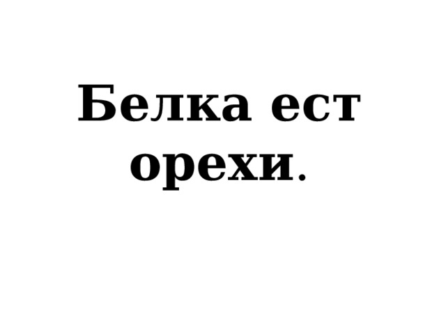  Белка ест орехи . 