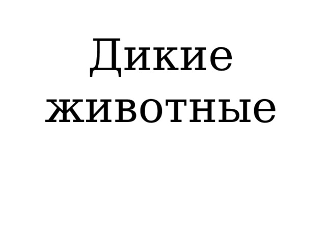 Дикие животные 