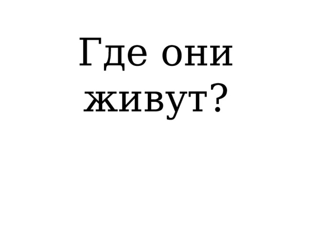 Где они живут? 