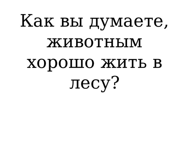 Как вы думаете, животным хорошо жить в лесу? 