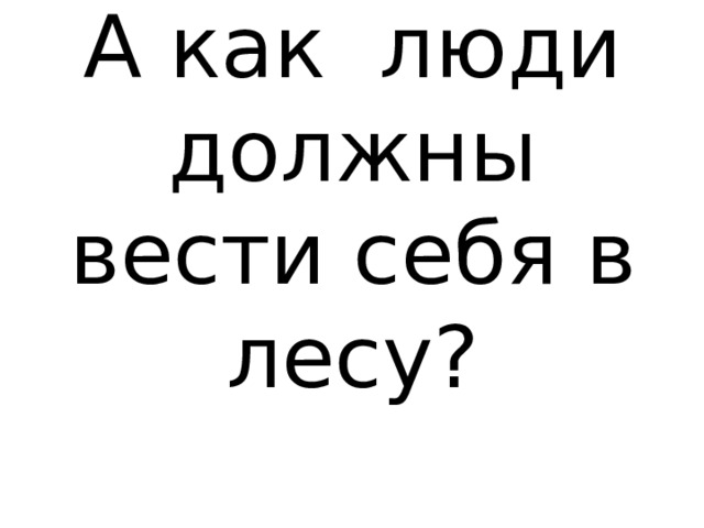 А как люди должны вести себя в лесу? 