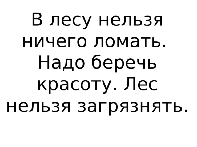 В лесу нельзя ничего ломать.  Надо беречь красоту. Лес нельзя загрязнять. 