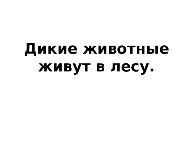 Дикие животные живут в лесу. 