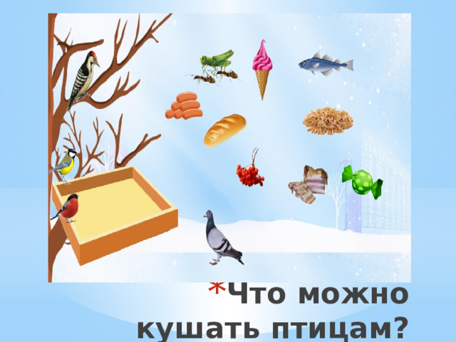 Что можно кушать птицам? 