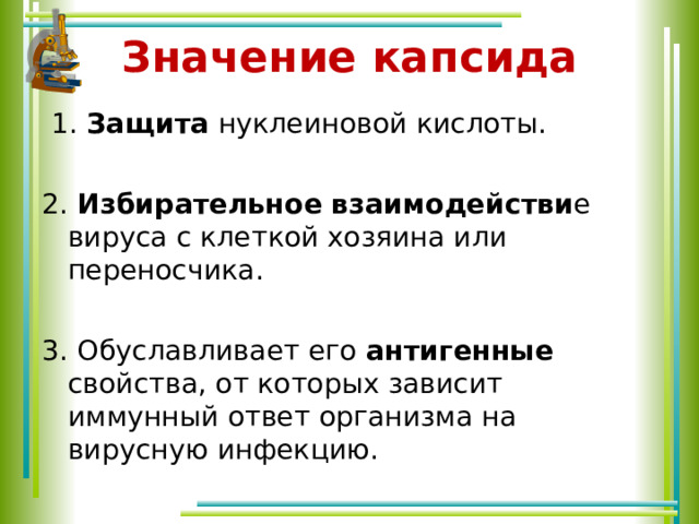 Значение капсида  1 .  Защита нуклеиновой кислоты. 2. Избирательное  взаимодействи е вируса с клеткой хозяина или переносчика. 3. Обуславливает его антигенные свойства, от которых зависит иммунный ответ организма на вирусную инфекцию. 